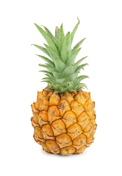 De ananas geïsoleerd op witte achtergrond — Stockfoto