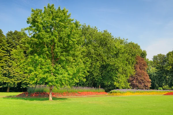 Sommerpark mit schönen Blumenbeeten — Stockfoto