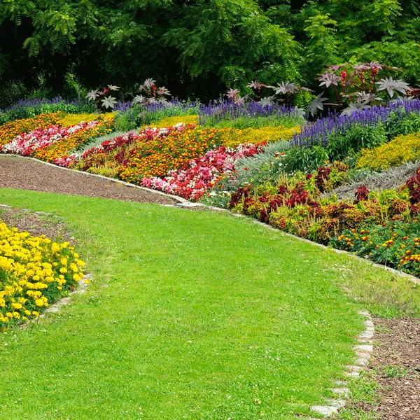 Camas de flores florescentes no parque — Fotografia de Stock