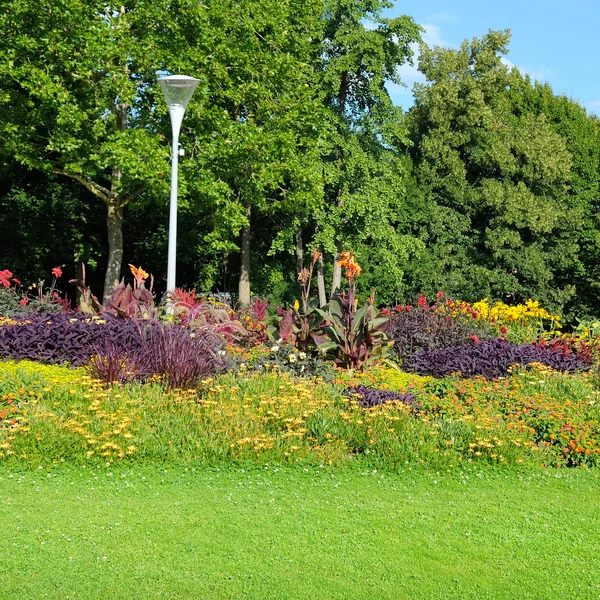 Zomerpark met prachtige bloemperken — Stockfoto