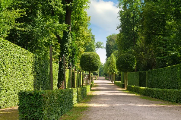 Letní park s krásnou avenue a chodníky — Stock fotografie