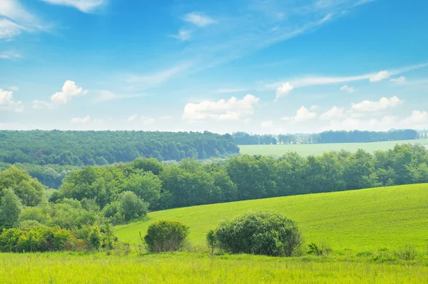 Campo verde pitoresco e céu azul — Fotografia de Stock