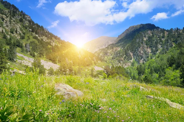 Montagnes, prairies alpines et lever du soleil — Photo