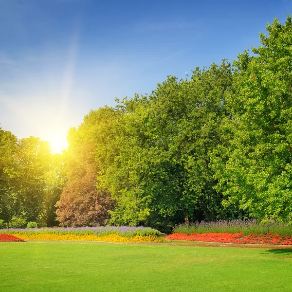 Summer park with beautiful flowerbeds — Stock Photo, Image