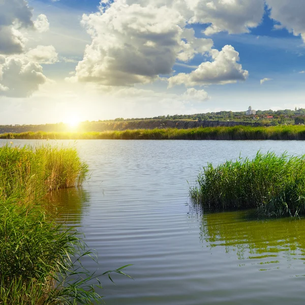 Kreupelhout van riet op het meer en de zon — Stockfoto
