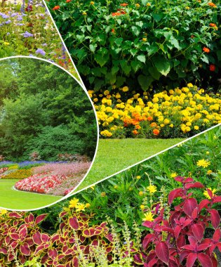 Dinamik, dikey bir fotoğraf kolajı, yoğun, canlı çiçek yatakları, yemyeşil yapraklar ve manikürlü çimlerin yer aldığı çok güzel manzaralı bir parkın birden fazla görüntüsünü harmanlıyor. Bu zengin, renkli kompozisyon bahçe işleri için biçilmiş kaftan.