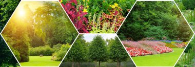 Yaratıcı bir altıgen kolaj, günışığı ağaçları, manikürlü çimenler ve canlı çiçek tarlaları da dahil olmak üzere çeşitli yemyeşil parklar ve bahçe manzaraları sunar. Bu yaz doğa mozaiği bir huzur ve kusursuz tasarım hissi uyandırıyor. Manzara için ideal. 