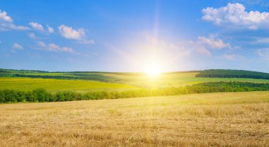 Geniş açılı güzel bir manzara ön planda bir sakal tarlası barındırır, parlak bir yaz gökyüzü altında güçlü bir güneş parıltısıyla yeşil ve sarı tarlalara dönüşür. Bu cennet manzarası, hasat, bolluk, tarım ve...