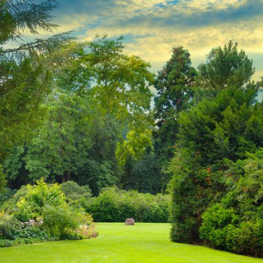 Manikürlü güzel bir park manzarası, dinamik bir gökyüzü altında gür, gür, yaprak döken ve her zaman yeşil ağaçlar tarafından çerçevelenmiş geniş, canlı yeşil bir çimenliğe sahiptir. Sahne güçlü bir dinginlik ve doğal güzellik hissi veriyor. Çevre ve dış dünya için ideal.