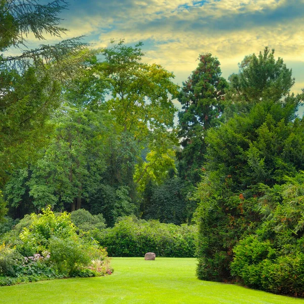 Manikürlü güzel bir park manzarası, dinamik bir gökyüzü altında gür, gür, yaprak döken ve her zaman yeşil ağaçlar tarafından çerçevelenmiş geniş, canlı yeşil bir çimenliğe sahiptir. Sahne güçlü bir dinginlik ve doğal güzellik hissi veriyor. Çevre ve dış dünya için ideal.