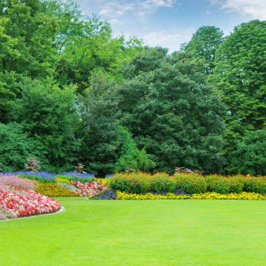 Mükemmel manikürlü yeşil çimenler gür, uzun ağaçlar ve çiçek tarlalarından oluşan renkli bir sınırın önünde uzanır. Huzur ve doğal güzellik hissi verir. Geniş açılı kompozisyon, arka plan kullanımı için ideal olan geniş bir kopya alanı sağlar