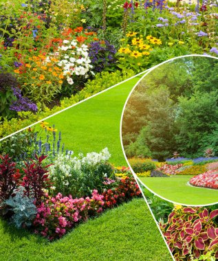 Dinamik bir kolajda çeşitli rengarenk çiçek yatakları ve güneşli bir parkta veya botanik bahçesinde titizlikle korunan yeşil çimenler ve ağaçlar sergilenmektedir. Bu resim bahçıvanlık, doğa, yaz güzelliği ve peyzaj sükuneti temalarını çağrıştırıyor..