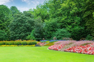 Manikürlü yeşil çimenler ve renkli çiçek tarlalarıyla dolu canlı bir yaz parkı manzarası. Bu sakin açık hava manzarası doğa ve seyahat reklamları için mükemmel..