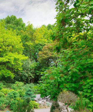 Bu sakin manzarada canlı yeşil ağaçları ve sakin bir taş oturma alanı olan verimli bir botanik bahçesi bulunur. Doğa, rahatlama ve çevresel sürdürülebilirlik temaları için ideal.