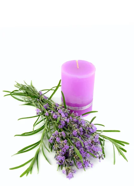 Canlı mor kokulu bir mum taze bir demet açan lavantanın yanında oturur. Beyaz arka plandaki bu temiz, minimalist çekim spa, sağlık ve aromaterapi temaları için idealdir..