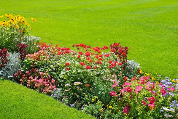 明亮的园林花卉的美丽背景 — 图库照片