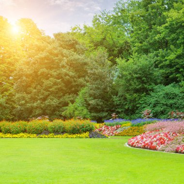 Turuncu, kırmızı ve mor renkli canlı çiçek yatakları güneşli bir parktaki yemyeşil çimenleri süslüyor. Bu manzara geniş bir kopya alanı ve seyahat kavramları için barışçıl bir atmosfer sunuyor..