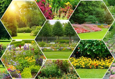 Bahçe fotoğrafçılığının kaliteli koleksiyonu çiçek açan parterler ve güneşli orman manzaraları sergileniyor. Bahçecilik blogları, seyahat rehberleri ve çevre tasarım projeleri için ideal.