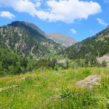 doğal dağlar, çayırlar ve mavi gökyüzü