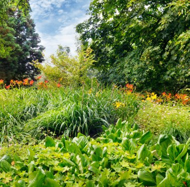 güzel çiçek yatak yaz park