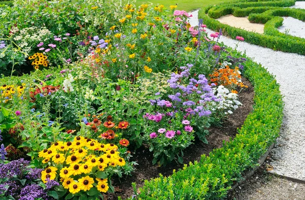 Beautiful background of bright garden flowers — Stock Photo, Image