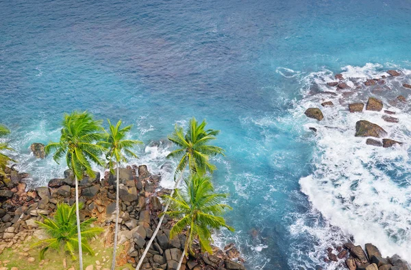 Océano, costa rocosa y palmeras de coco (vista superior ) —  Fotos de Stock