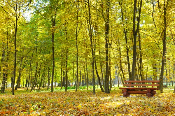 Herbstpark mit Weg und Bank — Stockfoto