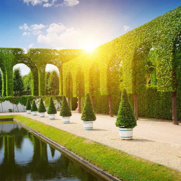 Säkring i en sommar park — Stockfoto