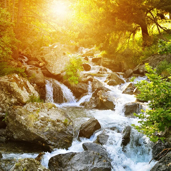 Mountain river, forest and bright sun — Stock Photo, Image