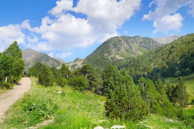 doğal dağlar, çayırlar ve mavi gökyüzü
