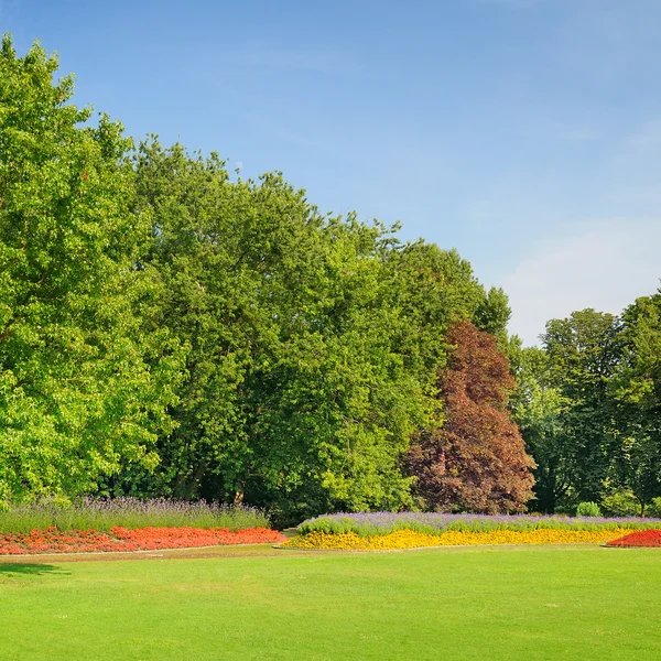 Sommerpark mit schönen Blumenbeeten — Stockfoto