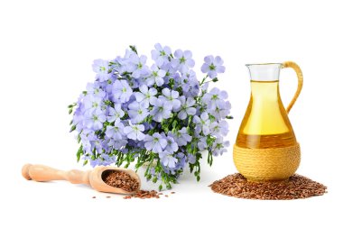 seed oil and flax flowers clipart