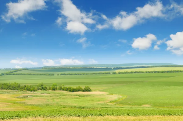 Yeşil tarla ve bulutlu mavi gökyüzü — Stok fotoğraf