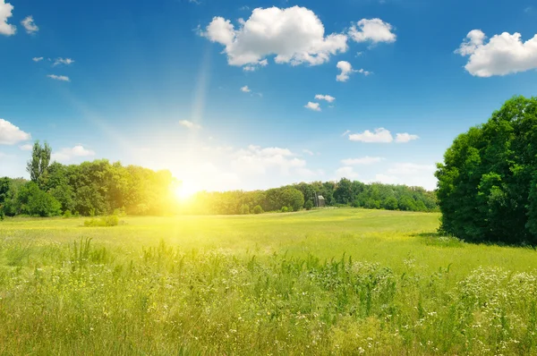 Campo, salida del sol y cielo azul — Foto de Stock