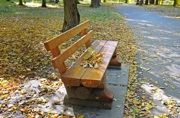 Beautiful autumn park with paths and benches — Stock Photo, Image