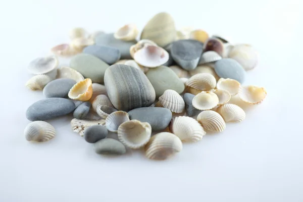 Tengeri kagylókból és tengeri kövek — Stock Fotó