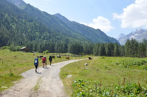 Kaukasus bergen, Georgien — Stockfoto