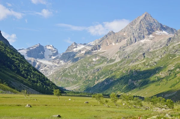 Kaukasus berg, vackra — Stockfoto