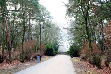 Parktaki merdivenler.