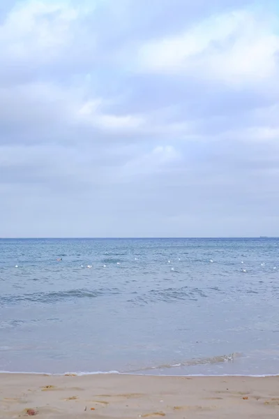 Mar Báltico, praia — Fotografia de Stock