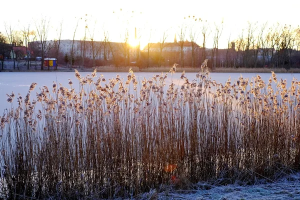 Amanhecer sobre o lago congelado — Fotografia de Stock