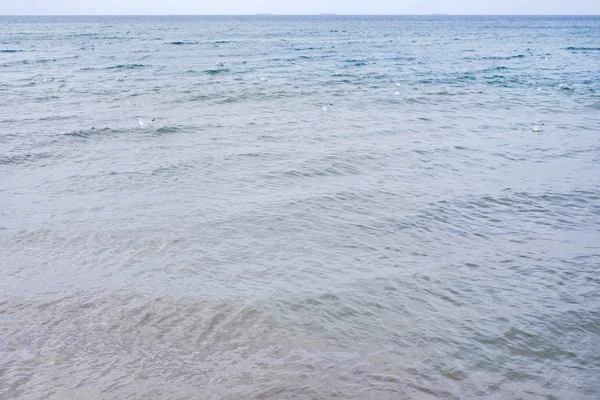 Baltische Zee, strand — Stockfoto