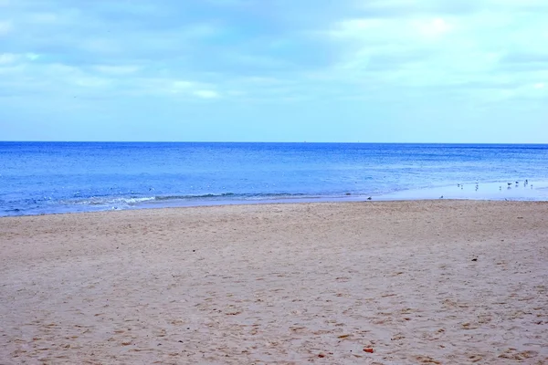 Mar Baltico, spiaggia — Foto Stock