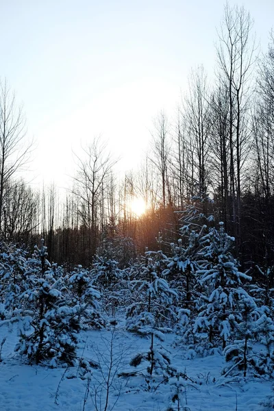 Atardecer de invierno, al aire libre — Foto de Stock