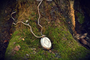 Orman gizem ve madalyon