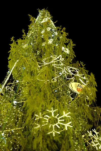 Χριστουγεννιάτικο δέντρο με φώτα — Φωτογραφία Αρχείου
