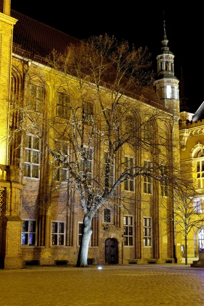 Işıklı Noel ağacı