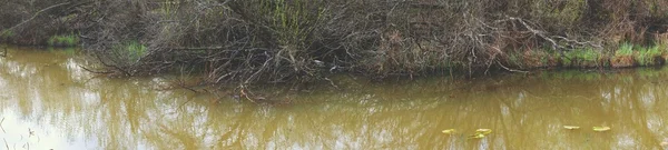 Panorama of the river — Stock Photo, Image