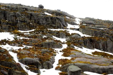 Karla kaplı kaya, kış