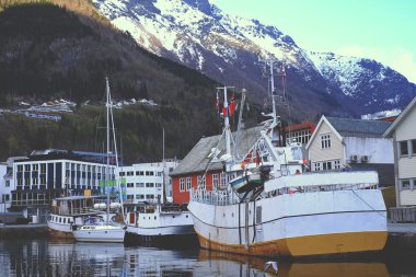 İskandinavya'bağlantı noktası